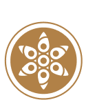 Matuta Vini & Burger